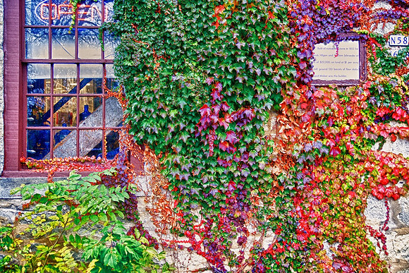 Wisconsin-2012 October - #7