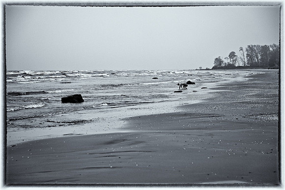Wisconsin-2012 October - #11