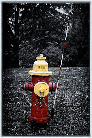 Wisconsin-2012 October - #10