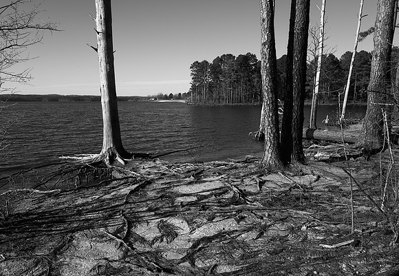 Harris Lake, North Carolina
