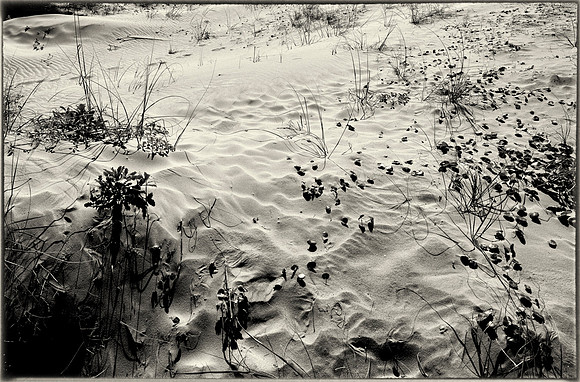 Sand Dunes