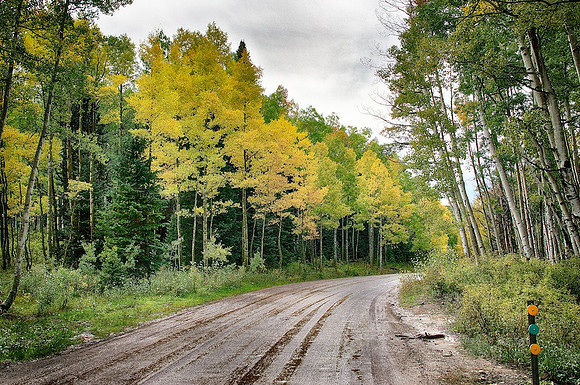 Kebler Pass Road near Crested Butte