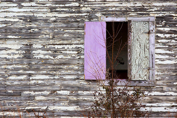 Lavender Shutter, Fort Chaffee, Arkansas