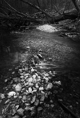 Swift Creek, Cary, NC