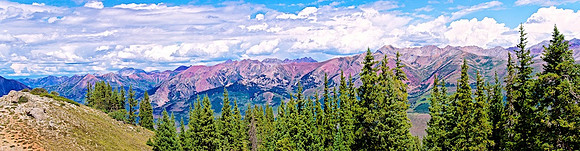 Crested Butte02_V