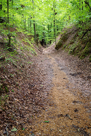 Natchez Trace, MS